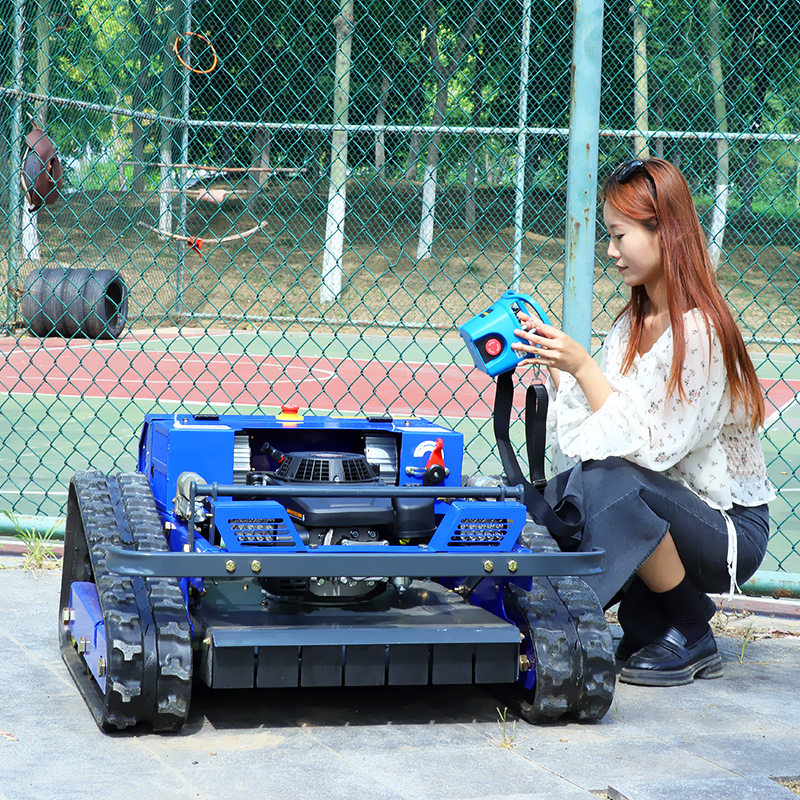 Gardening Tools Cutter - Customized High Power Remote Control Lawn