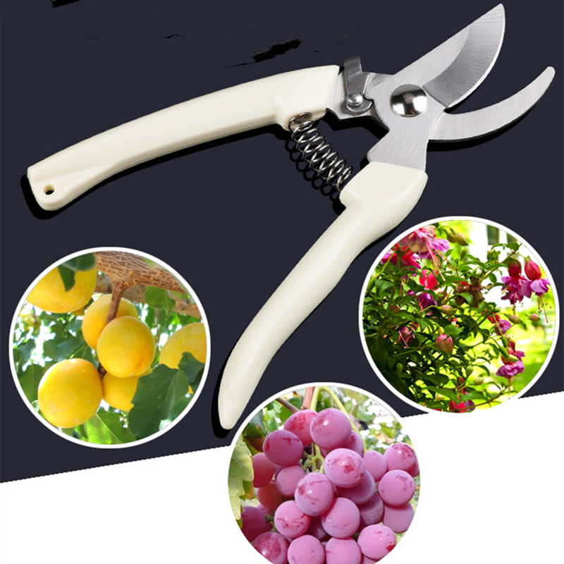 Gardening Tools Cutter - Pruner Orchard and The Garden Hand