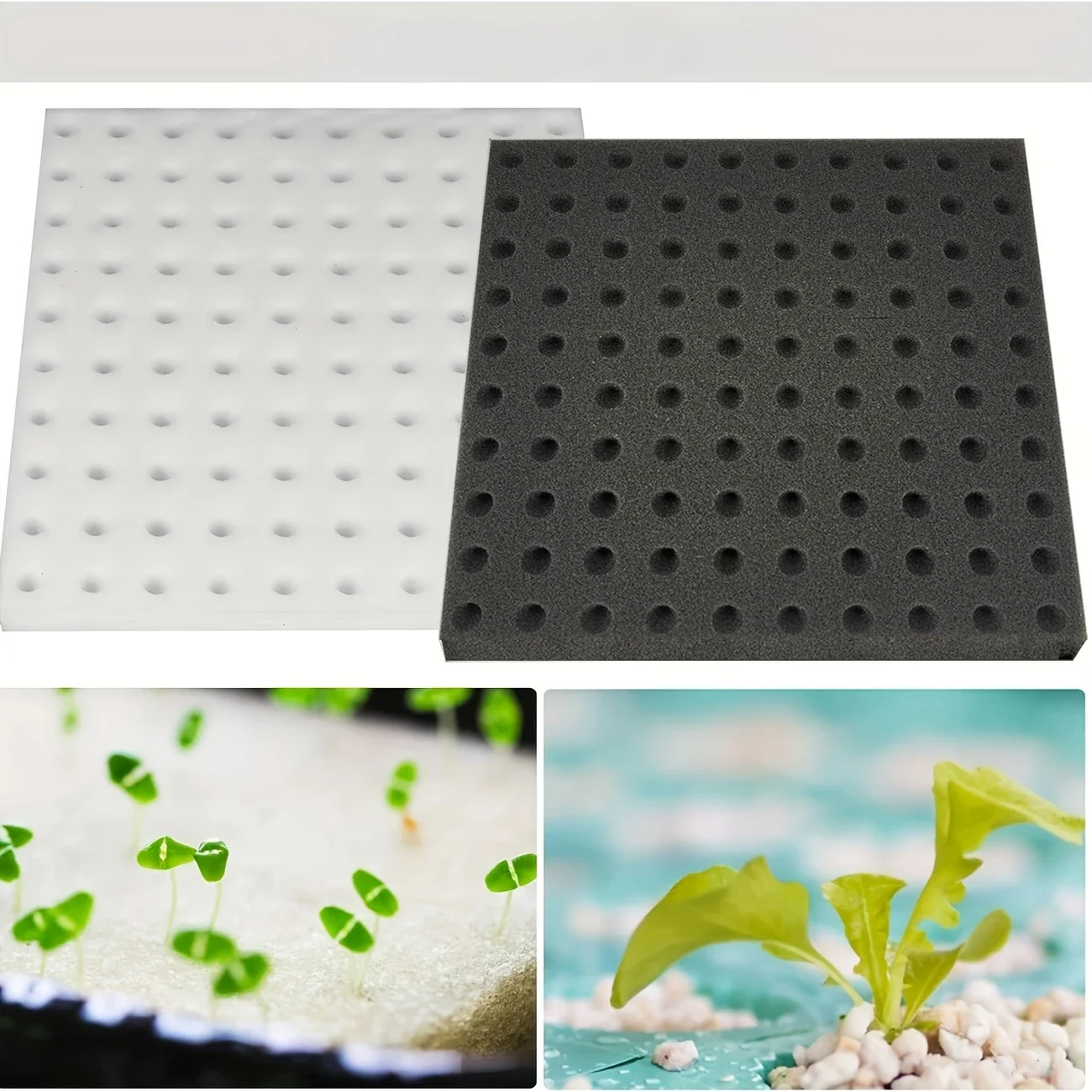 Greenhouse Sponge Vegetable Bu - Gardening Tools Wholesale avis et prix