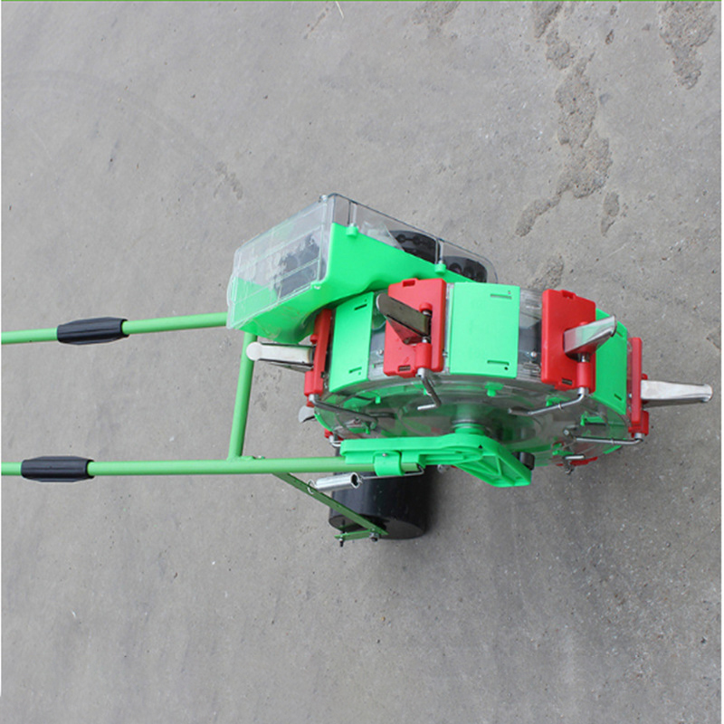 DD2244  Plants Cabbage Spreade - Garden Row Marker avis et prix