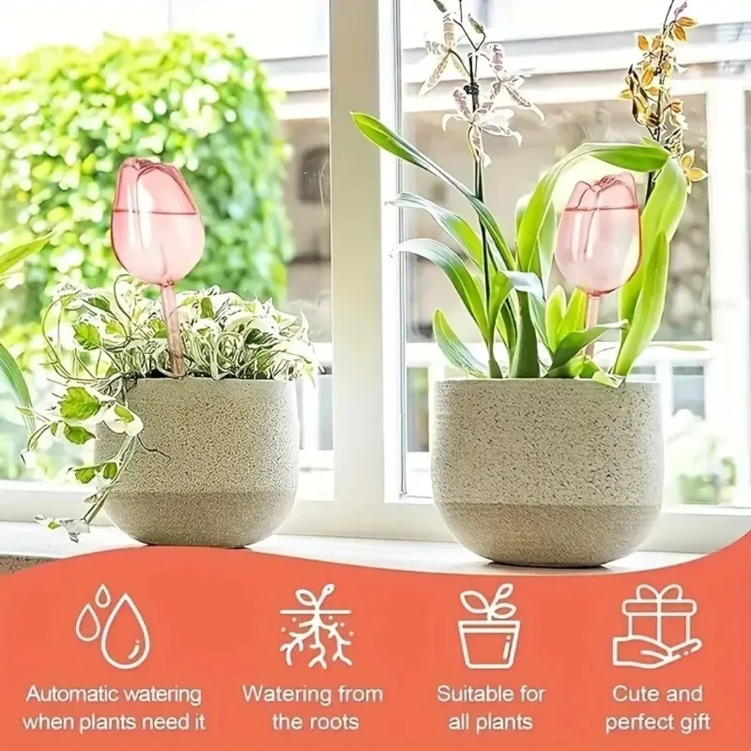 Pink Tulip Plant Watering Ball - Gardening Tools Pink avis et prix