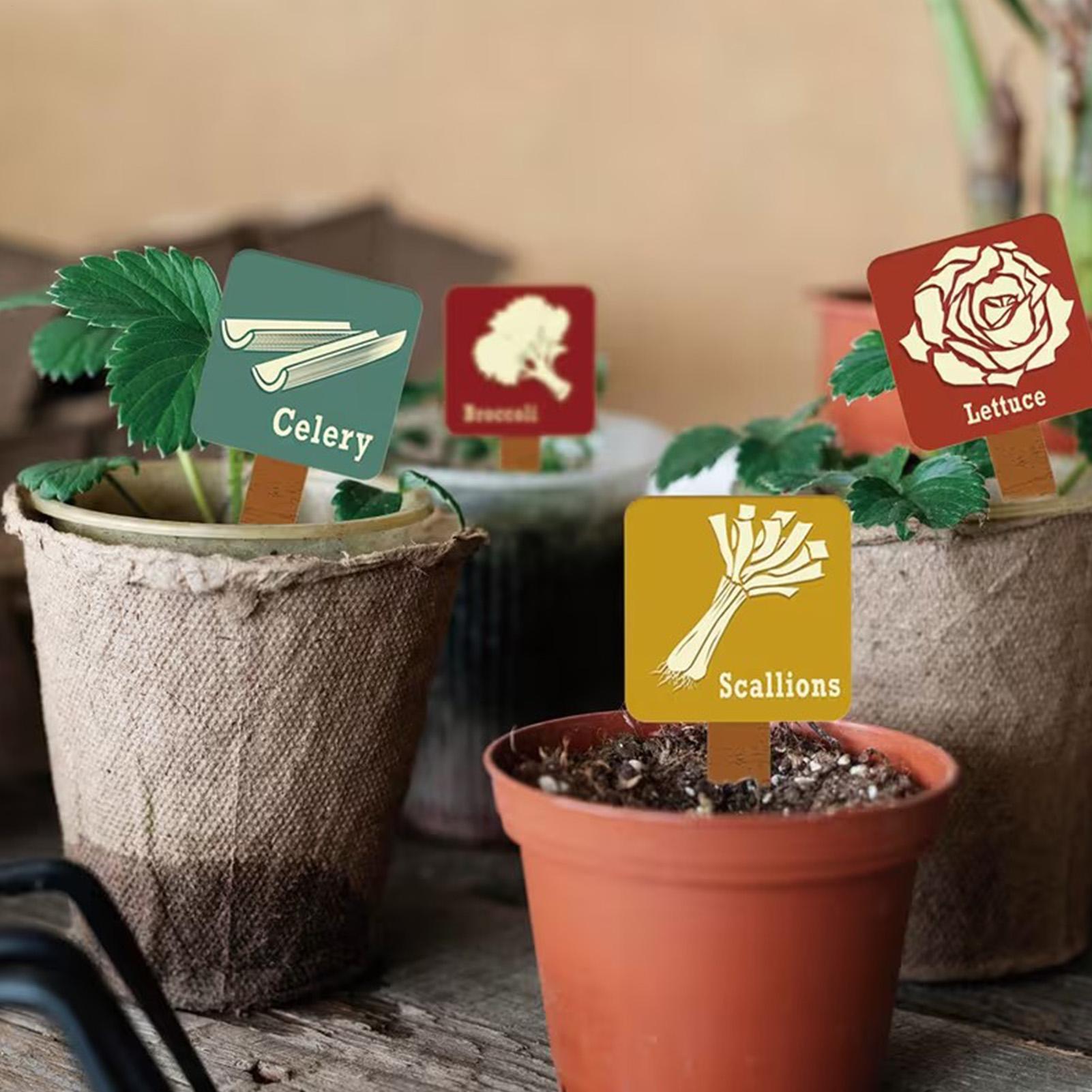 Garden Plant Markers 15 Pieces - Garden Row Marker avis et prix