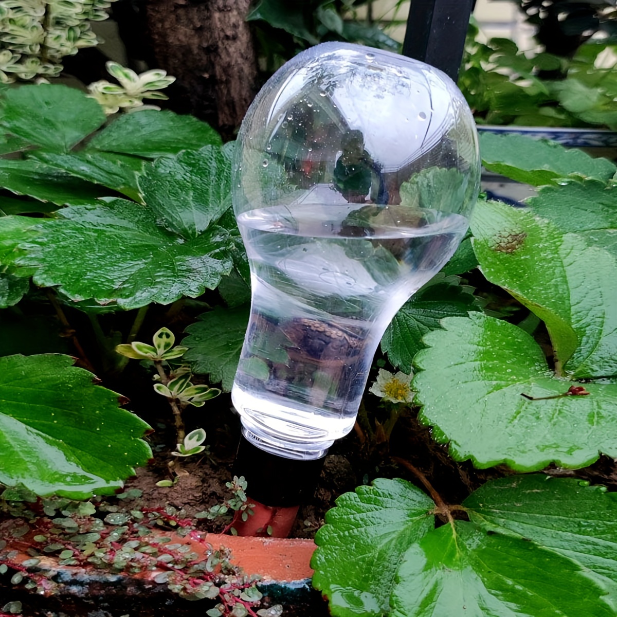 Garden Automatic Watering Tool - Gardening Tools Diy avis et prix