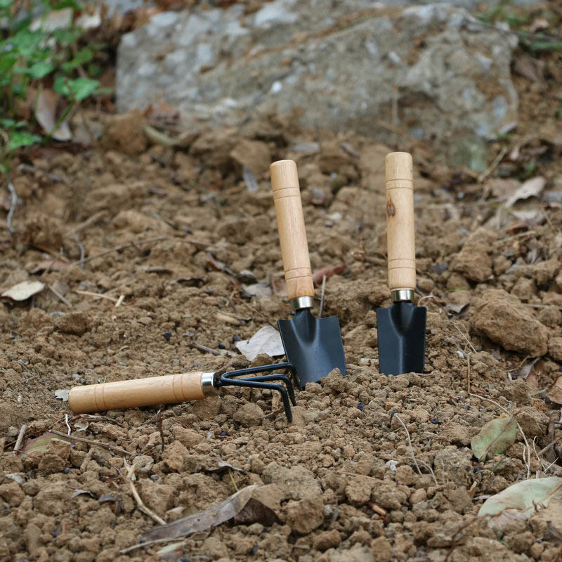 3Pcs/Set Mini Garden Tool Set  - Gardening Tools Wholesale avis et prix