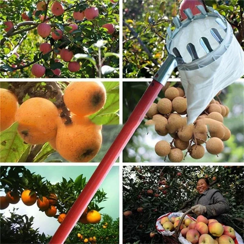 Garden Fruit Picker, Telescopi - Gardening Tools Scissors avis et prix