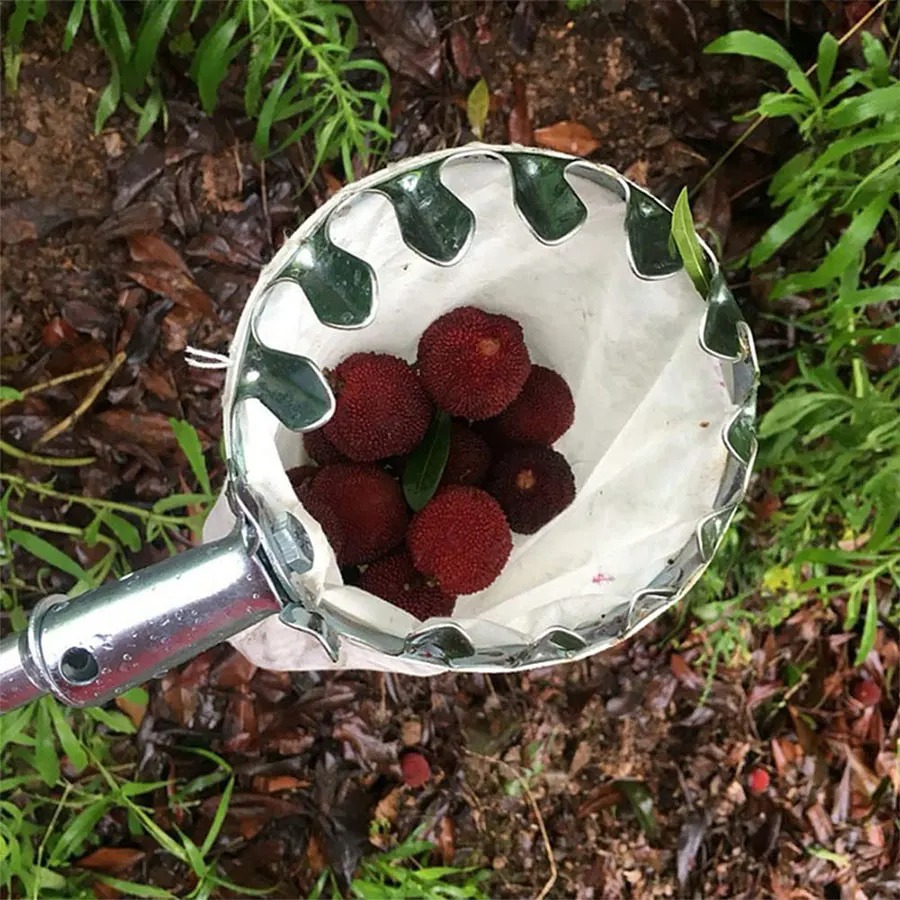 3-in-1 Fruit Harvesting Tool S - Gardening Tools Wholesale avis et prix