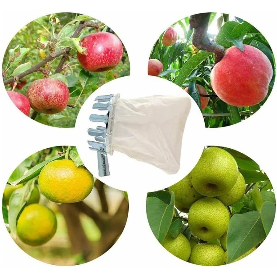 3-in-1 Fruit Harvesting Tool S - Gardening Tools Wholesale avis et prix