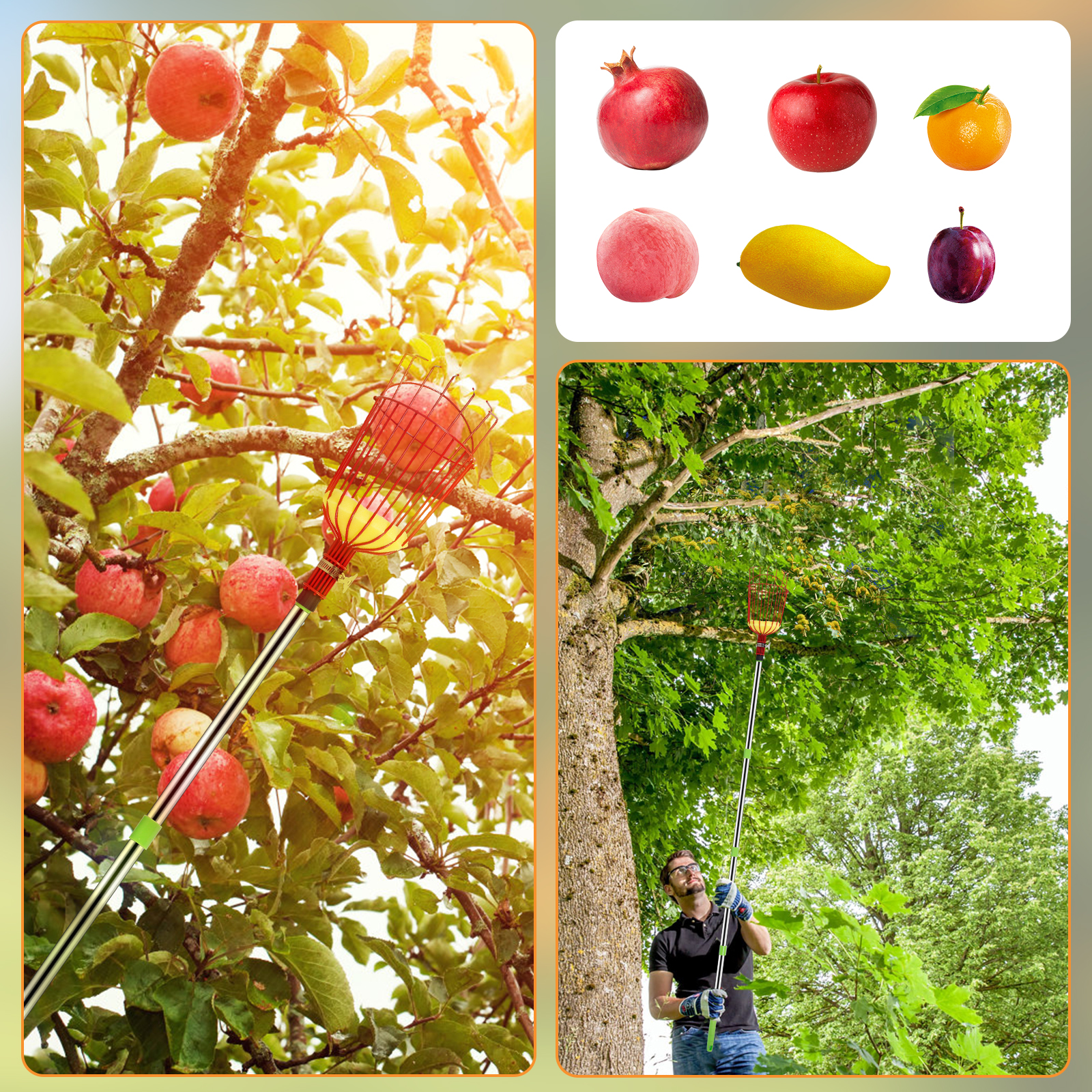 Deep Basket Fruit Picker Catch - Gardening Tools Sale avis et prix