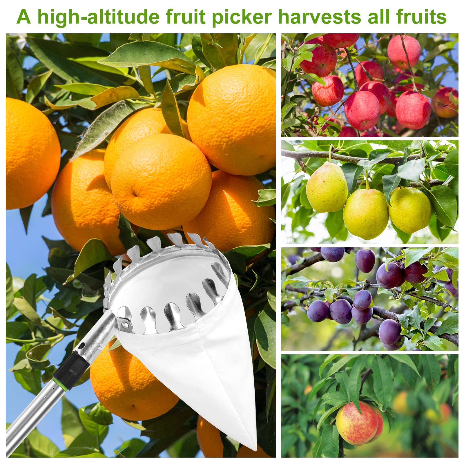 Deep Basket Fruit Picker Catch - Gardening Tools Sale avis et prix