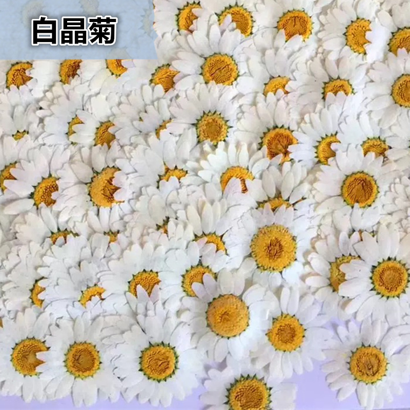 100Pcs Natural White Crystal C - Gardening Tools Diy avis et prix