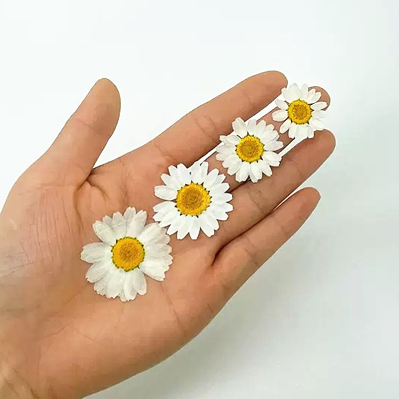 100Pcs Natural White Crystal C - Gardening Tools Diy avis et prix