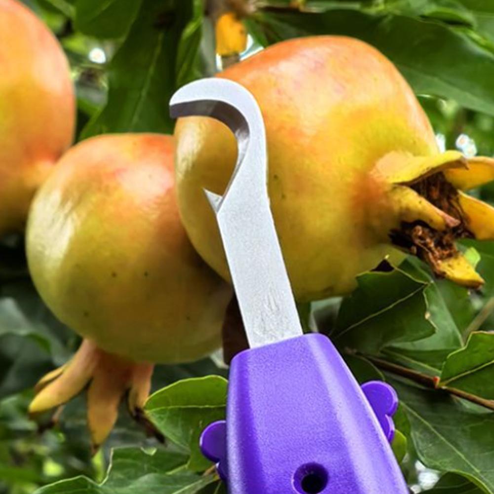 Handheld Berry Picking Tool Er - Gardening Tools Cutter avis et prix