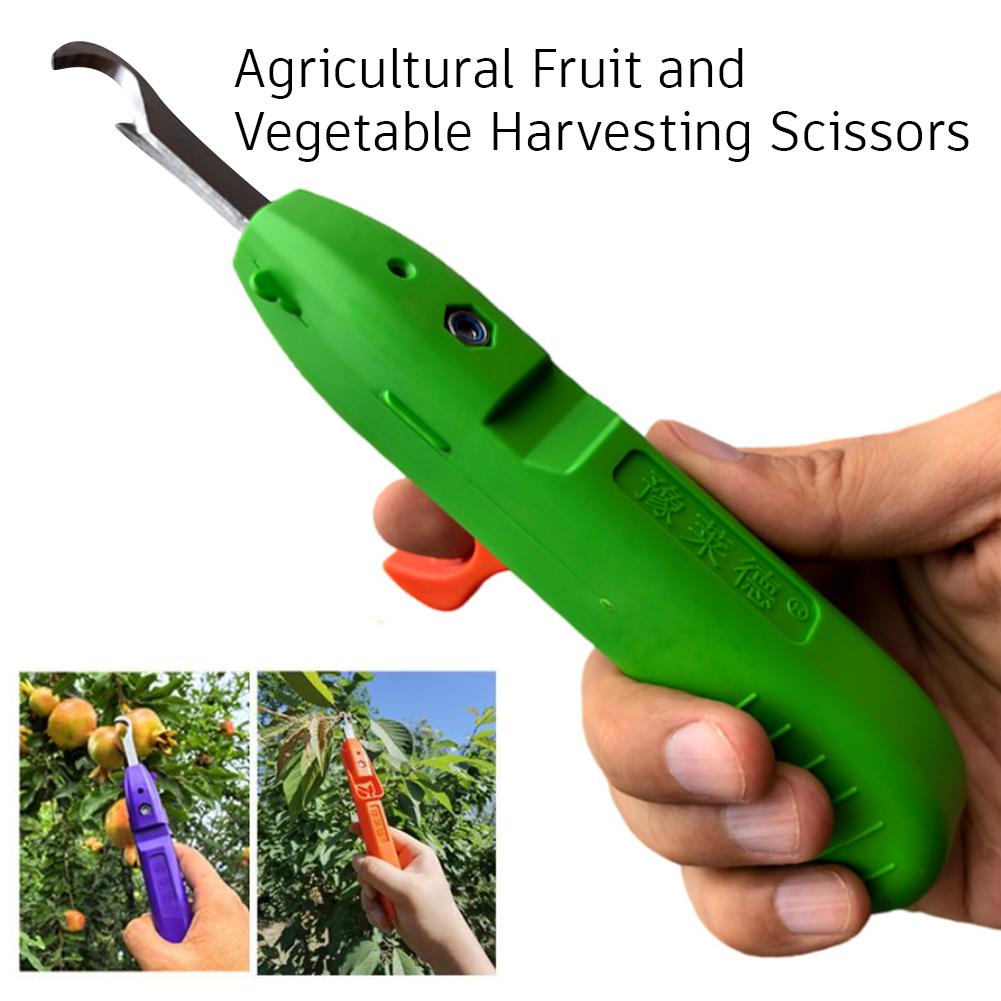 Handheld Berry Picking Tool Er - Gardening Tools Cutter avis et prix