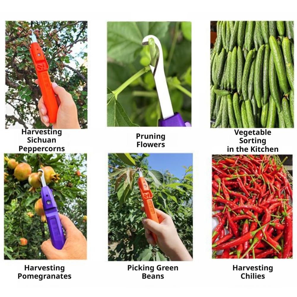 Handheld Berry Picking Tool Er - Gardening Tools Cutter avis et prix