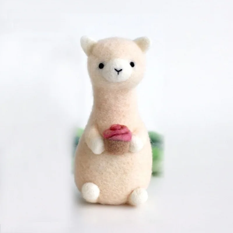 1PC Wool Needle Felting Kit fo - Gardening Tools Kit For Home Garden avis et prix