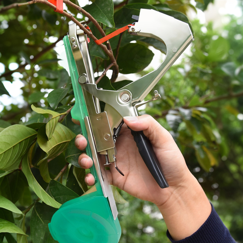Garden Plants Branch Hand Tyin - Gardening Tools Kit For Home Garden avis et prix
