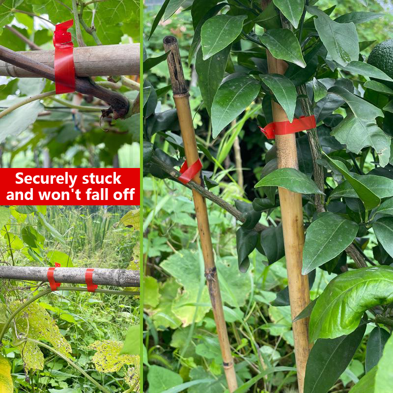 Garden Plants Branch Hand Tyin - Gardening Tools Kit For Home Garden avis et prix