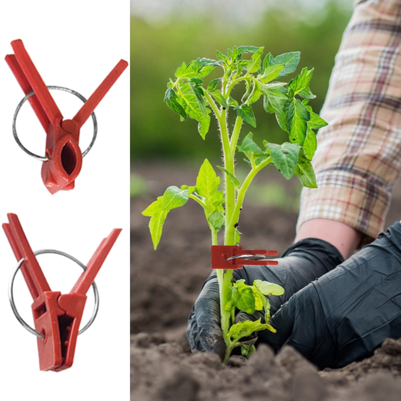 50Pcs Plant Grafting Clip Plas - Gardening Tools Uses avis et prix
