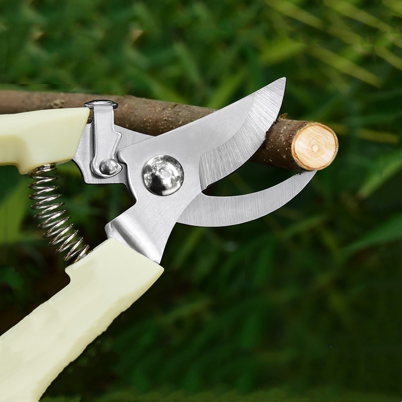 Pruner Orchard and The Garden  - Gardening Tools Cutter avis et prix