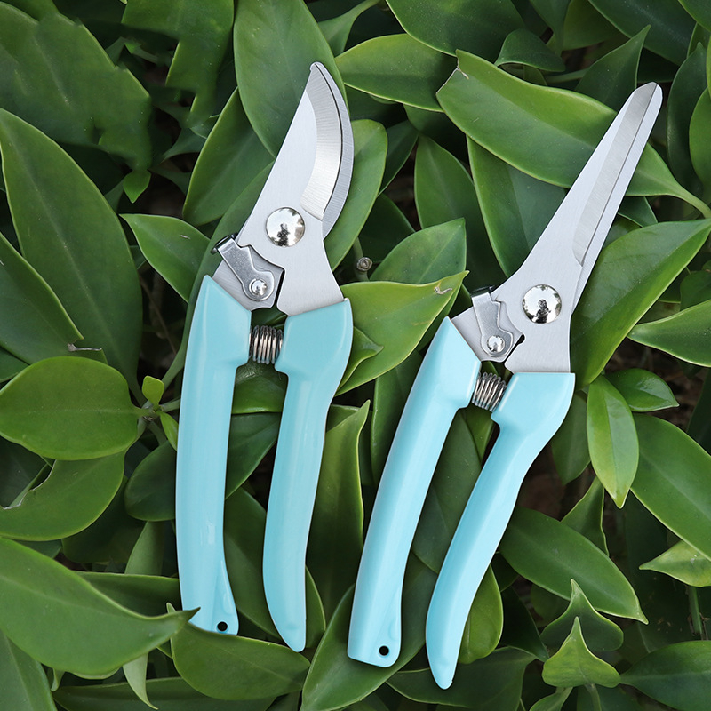 Pruner Orchard and The Garden  - Gardening Tools Cutter avis et prix