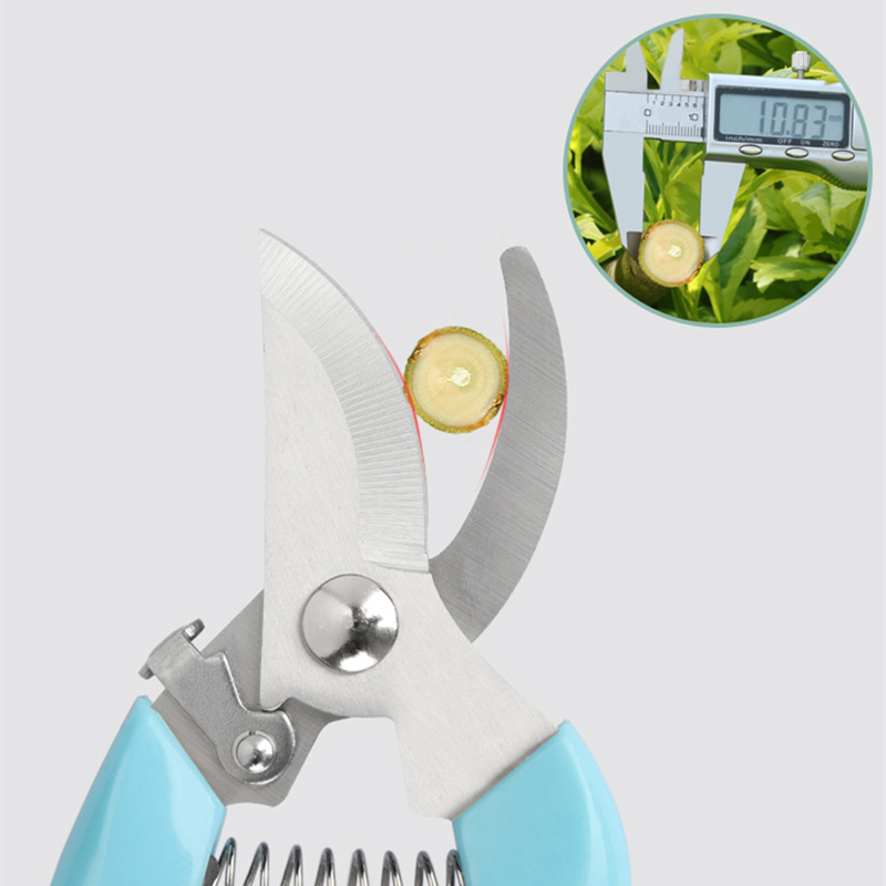 Pruner Orchard and The Garden  - Gardening Tools Cutter avis et prix