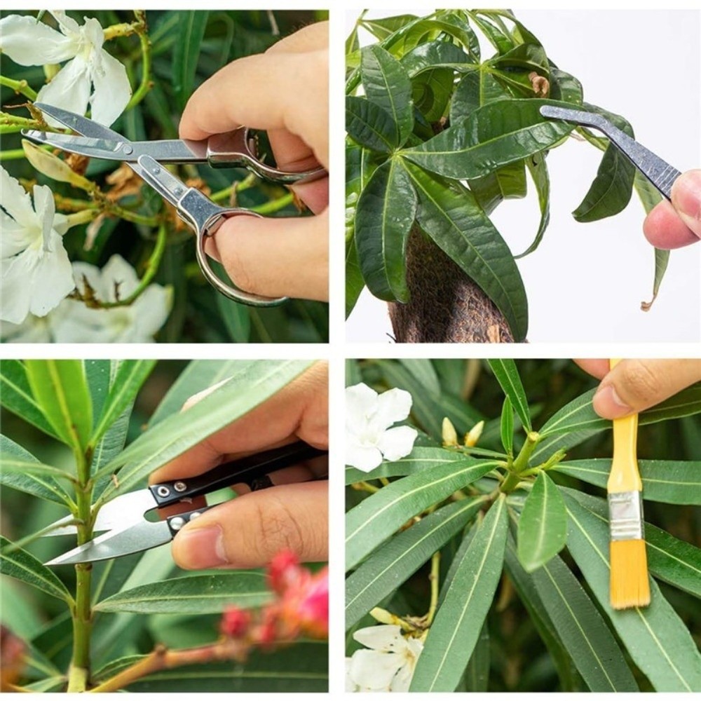 Multi-functional Mini Garden P - Spade Digging Fork avis et prix
