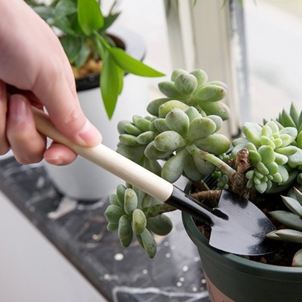 Multi-functional Mini Garden P - Spade Digging Fork avis et prix