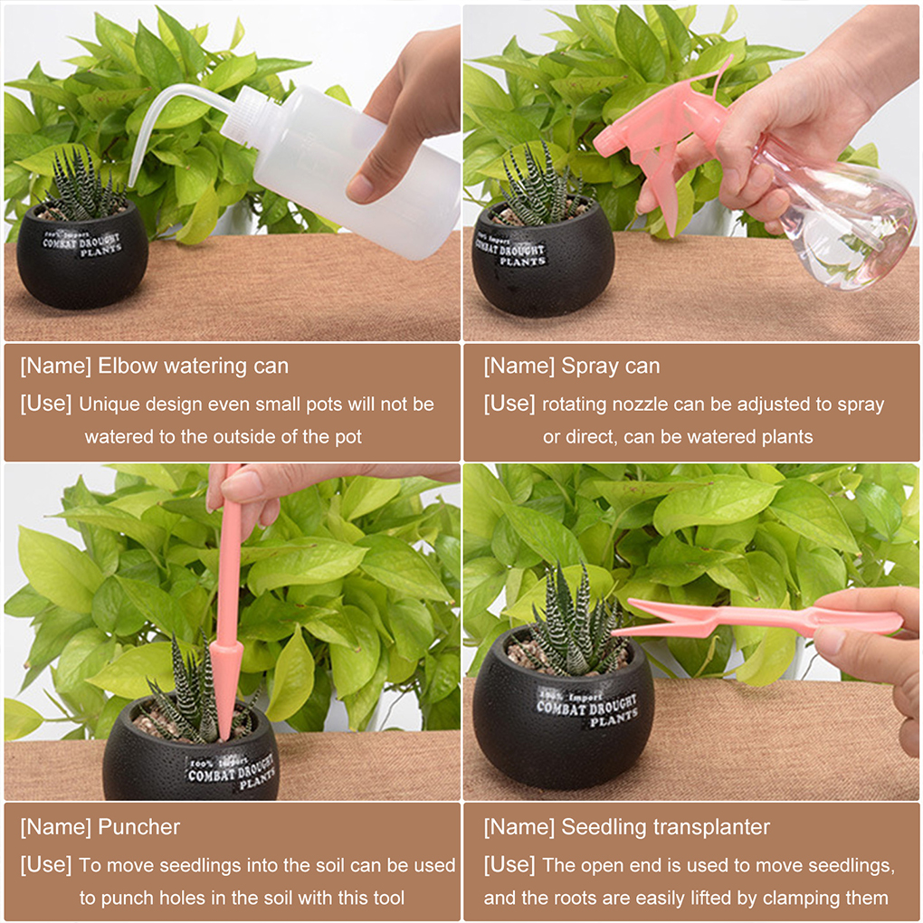 Easy To Clean Garden Succulent - Gardening Tools Pink avis et prix