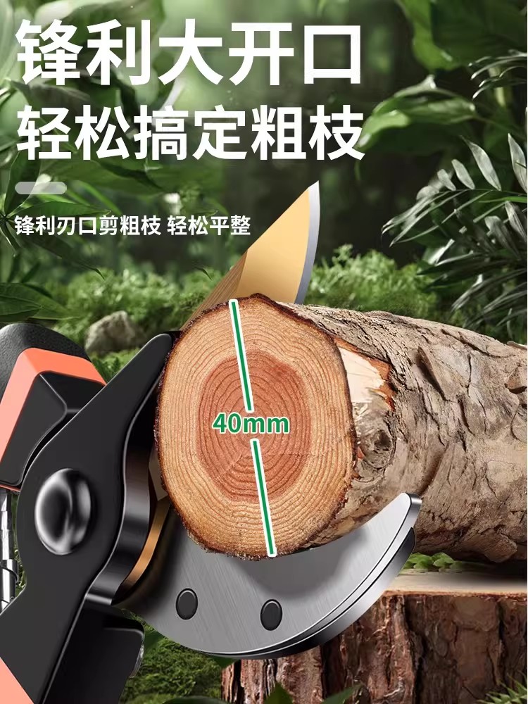 Pruning Scissors, Labor-Saving - Gardening Tools Scissors avis et prix