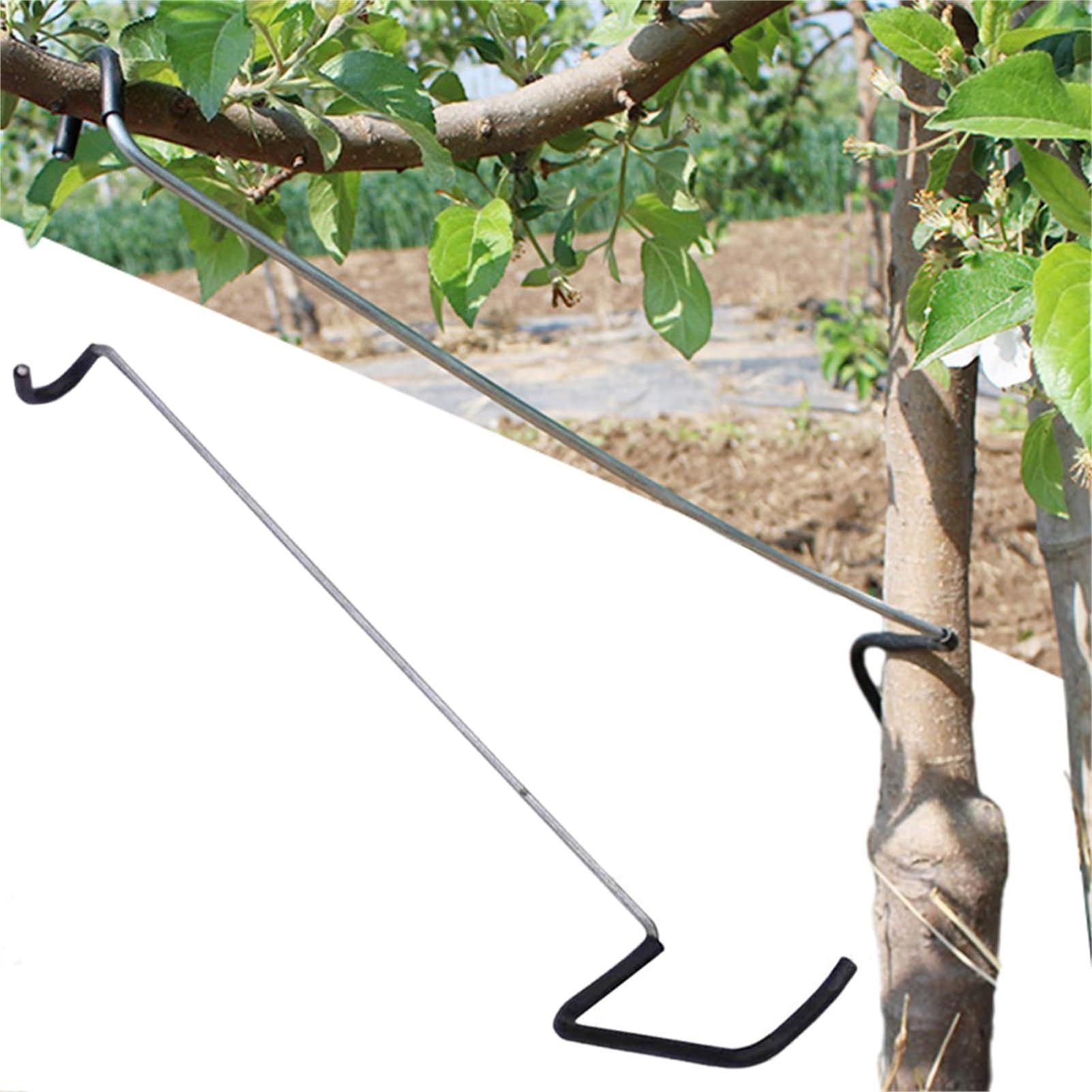 Fruit Tree Branch Spreader 10P - Gardening Tools Wholesale avis et prix