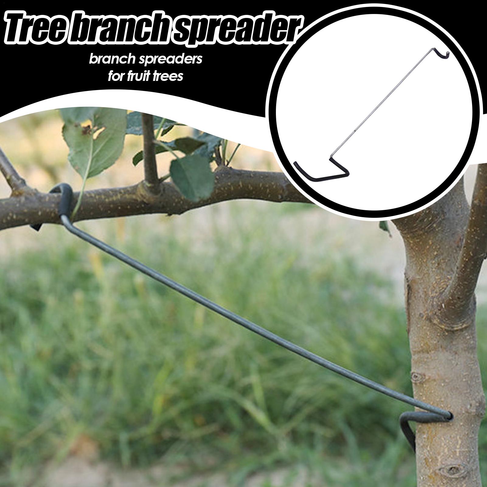 Fruit Tree Branch Spreader 10P - Gardening Tools Wholesale avis et prix