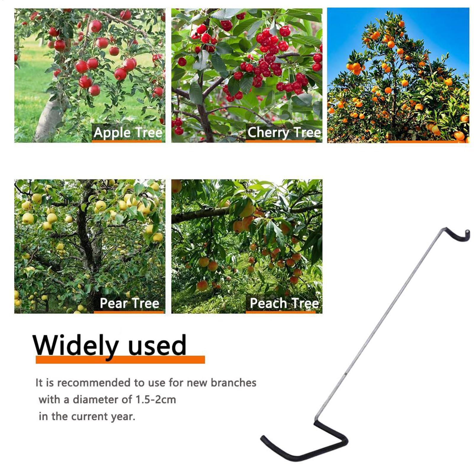 Fruit Tree Branch Spreader 10P - Gardening Tools Wholesale avis et prix
