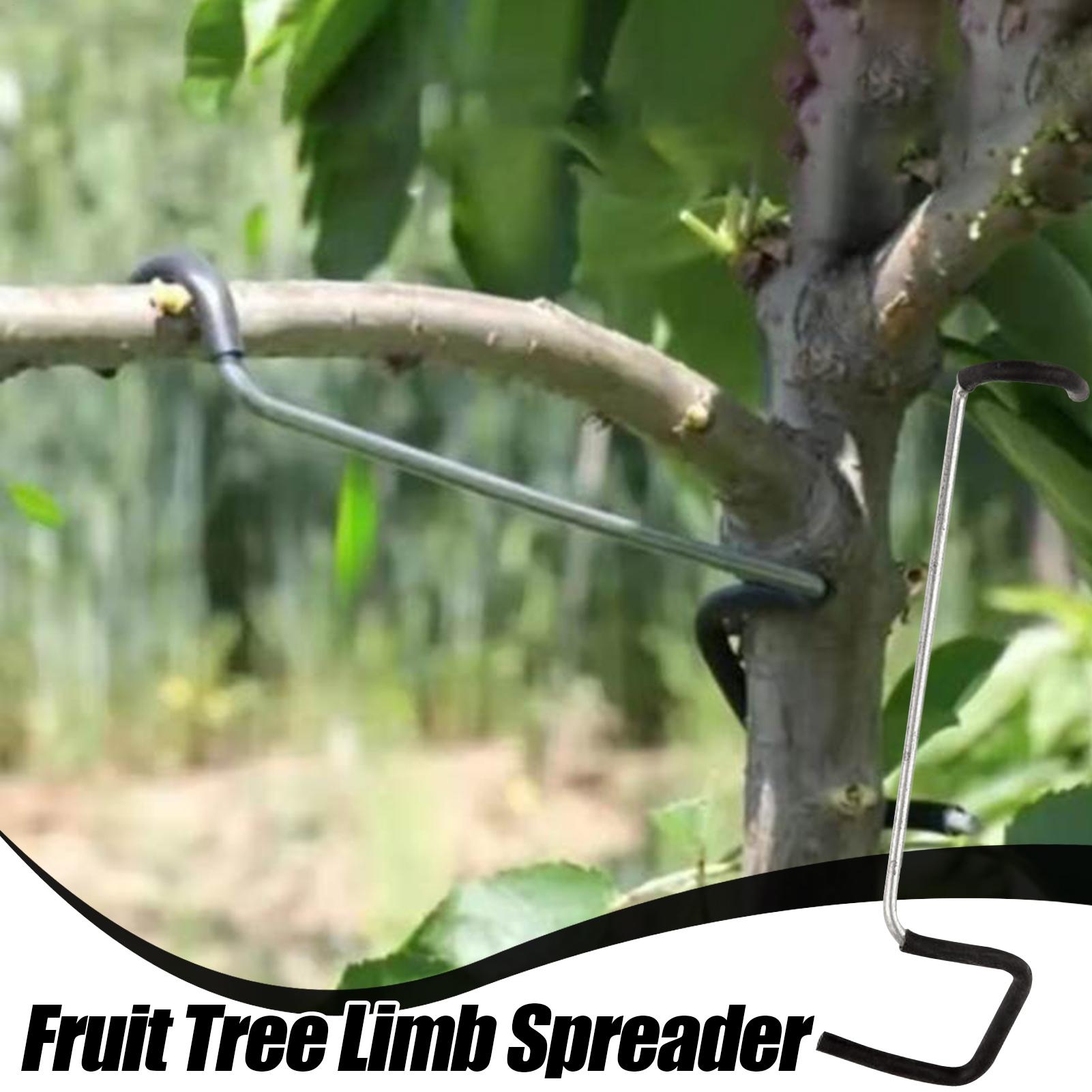Fruit Tree Branch Spreader 10P - Gardening Tools Wholesale avis et prix