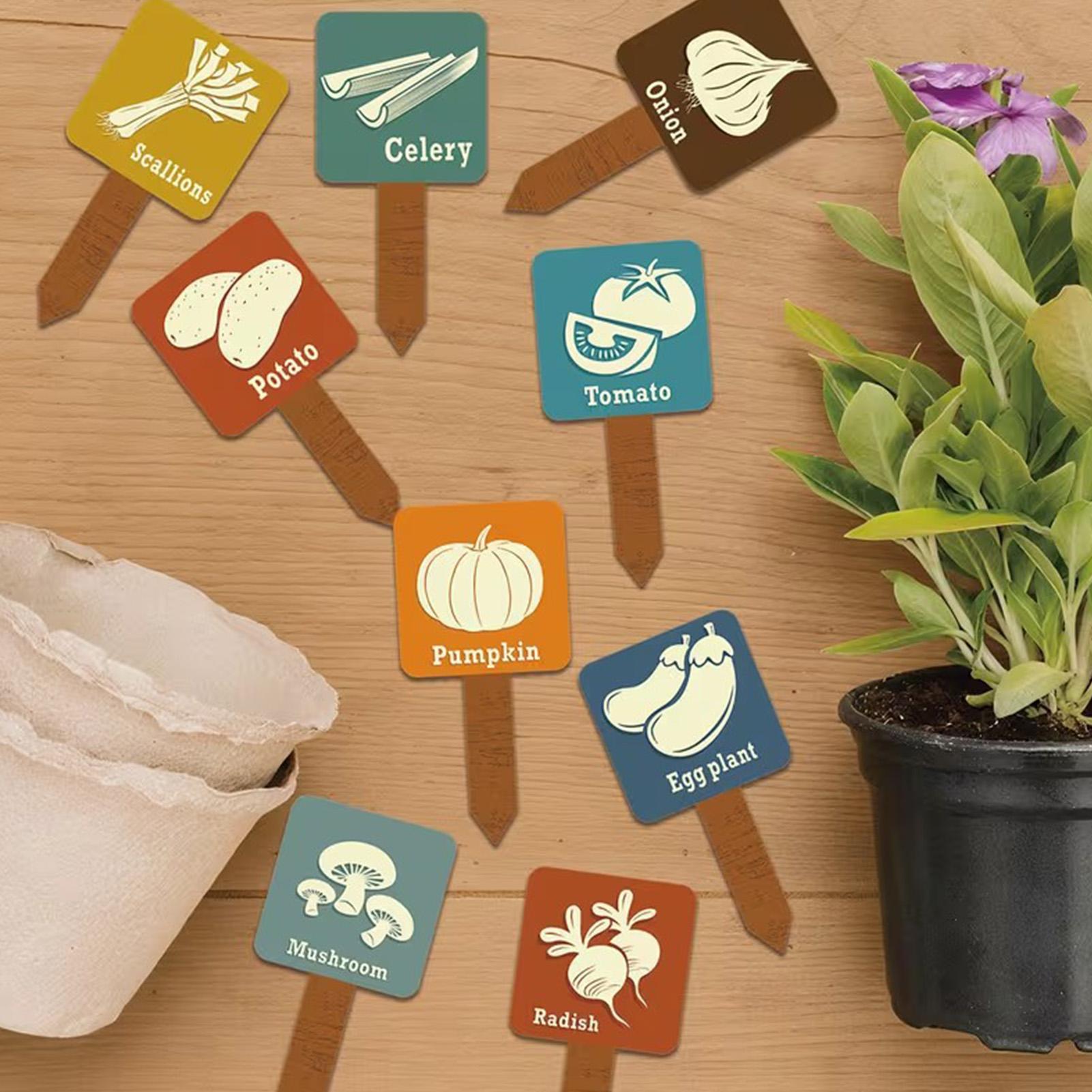 Vegetable Garden Signs 15 Piec - Garden Row Marker avis et prix