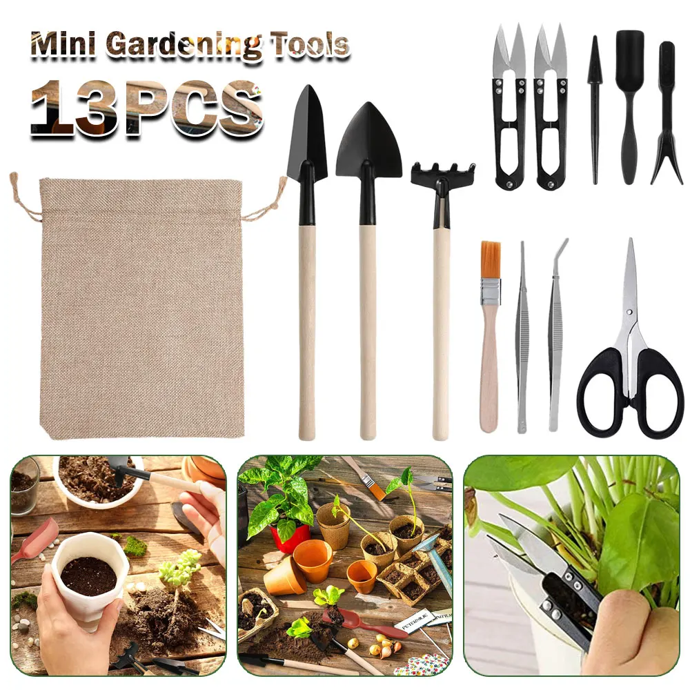 13PCS Succulent Plants Tool Se - Gardening Tools Kit For Home Garden avis et prix