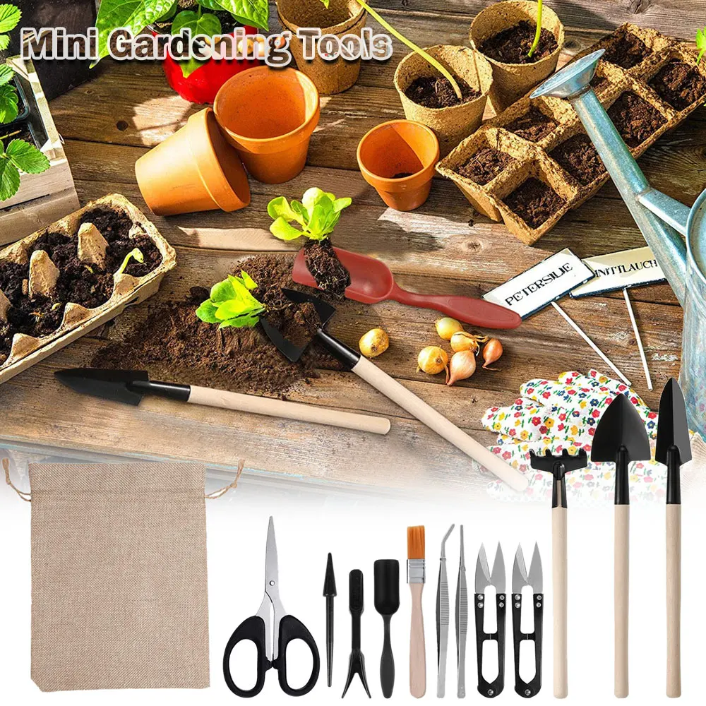 13PCS Succulent Plants Tool Se - Gardening Tools Kit For Home Garden avis et prix