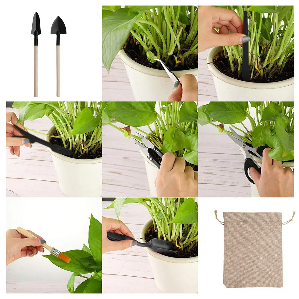 13PCS Succulent Plants Tool Se - Gardening Tools Kit For Home Garden avis et prix