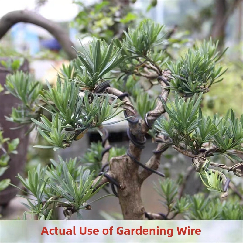 1.5MM Bonsai Wires Aluminum Bo - Gardening Tools Diy avis et prix