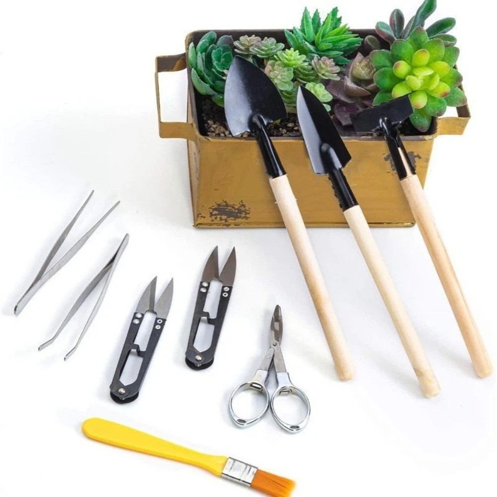 Multi-functional Mini Garden P - Spade Digging Fork avis et prix
