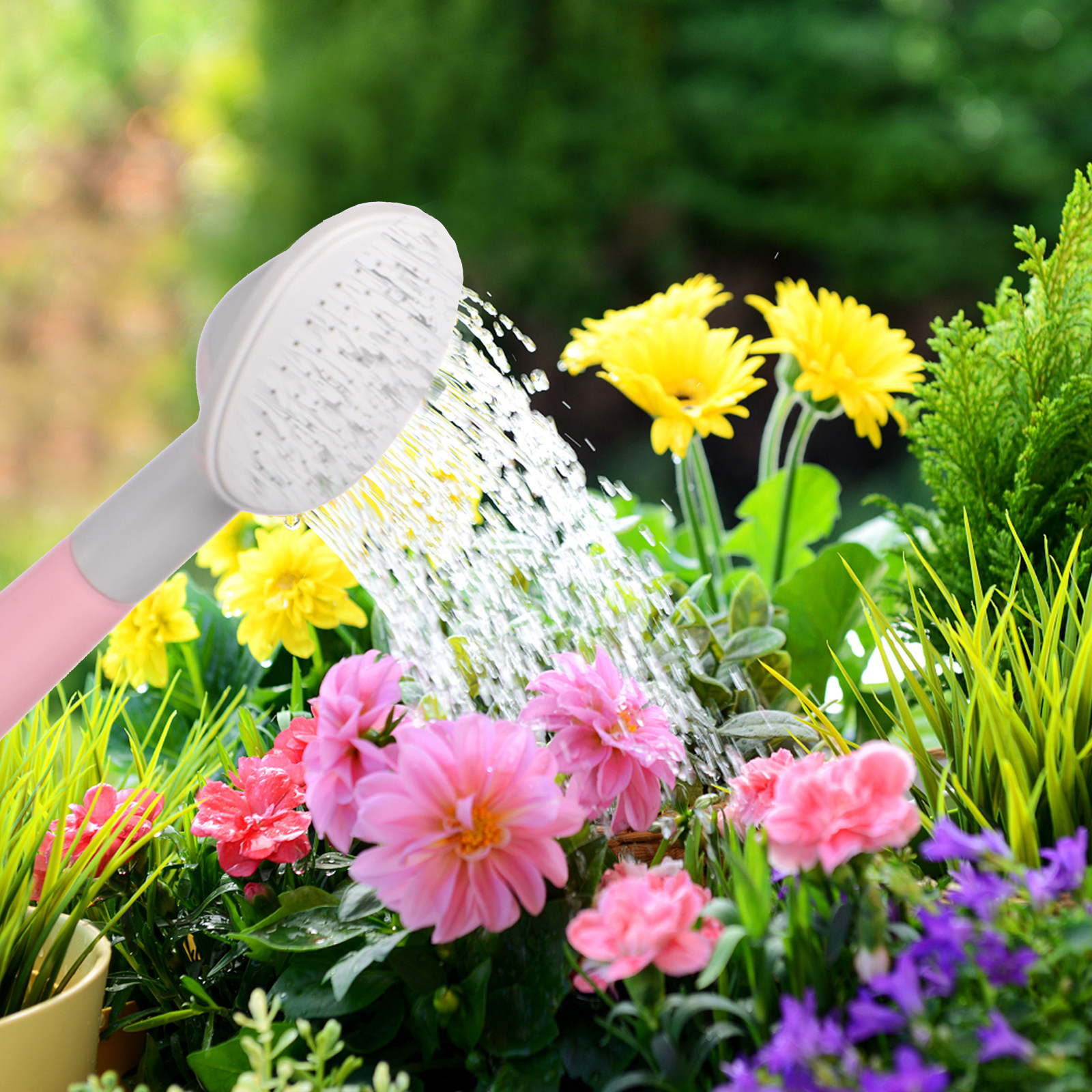 Thicken Plastic Watering Pot P - Gardening Tools Pink avis et prix