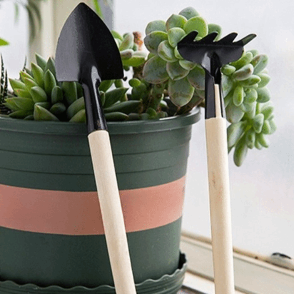 Multi-functional Mini Garden P - Spade Digging Fork avis et prix