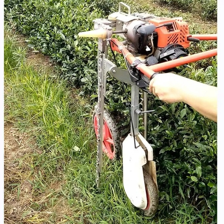 Multi-Function Garden Tool Bru - Gardening Tools Cutter avis et prix