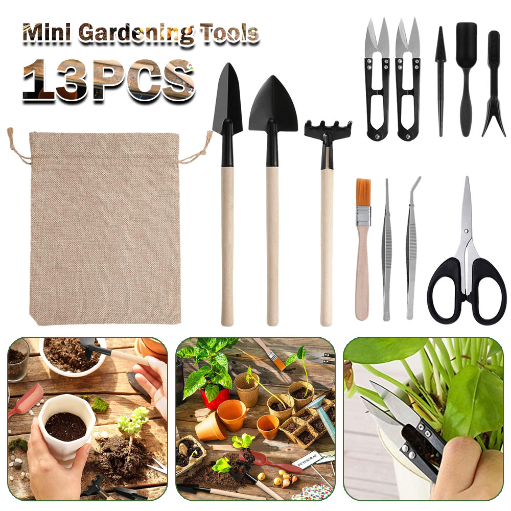 Succulent Plants Tools Mini Ga - Gardening Tools Sale avis et prix