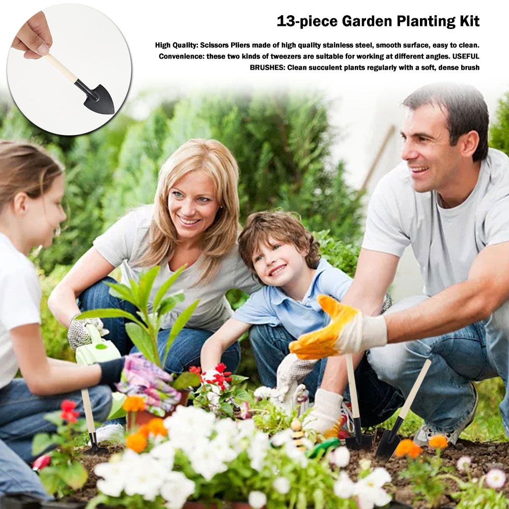 Succulent Plants Tools Mini Ga - Gardening Tools Sale avis et prix