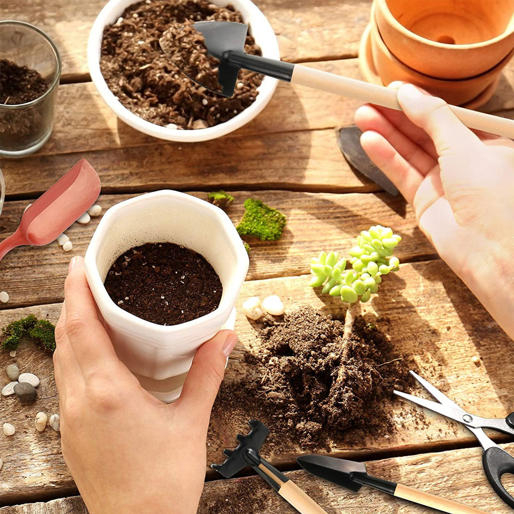 Succulent Plants Tools Mini Ga - Gardening Tools Sale avis et prix