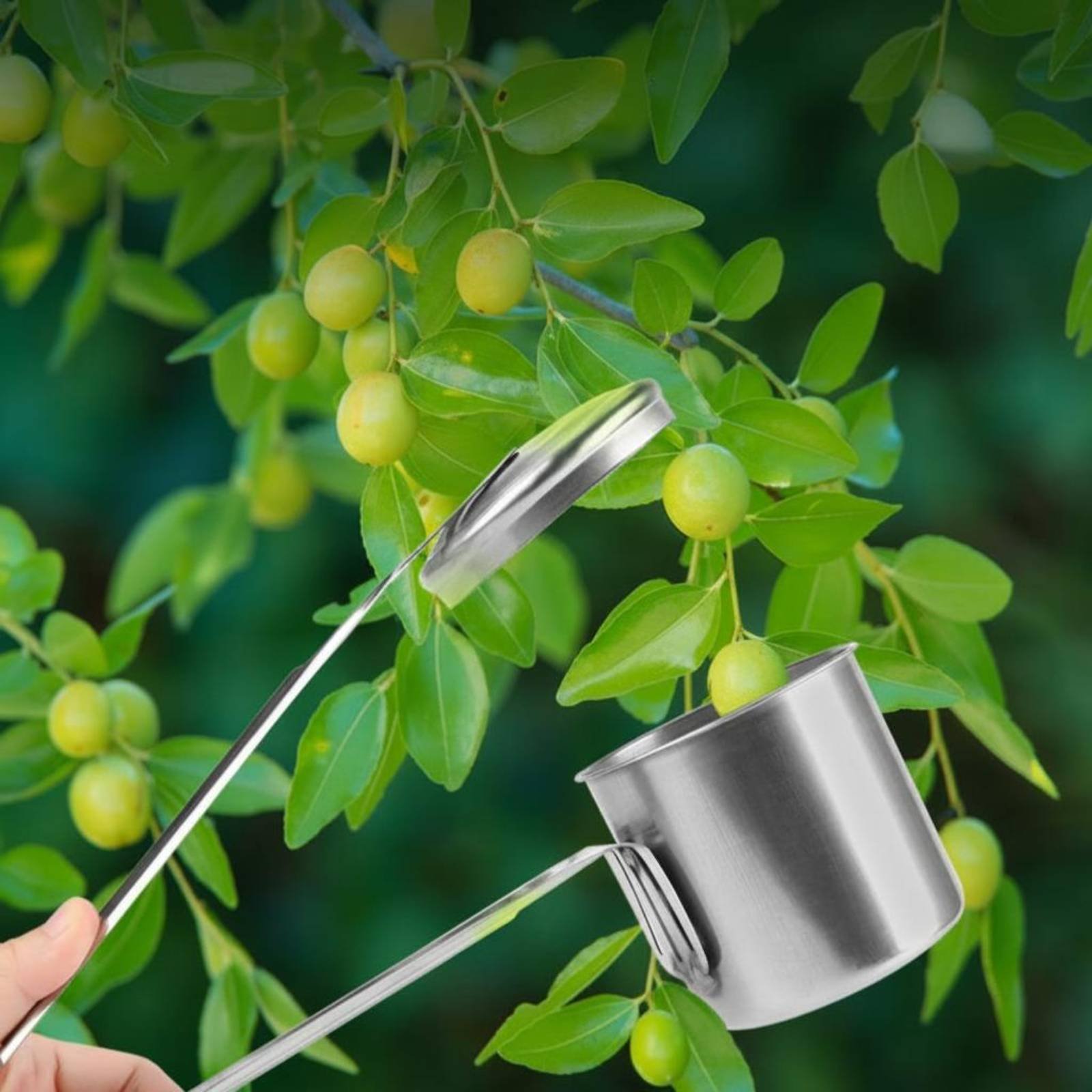 Cup Fruit Picker Stainless Ste - Gardening Tools Uses avis et prix