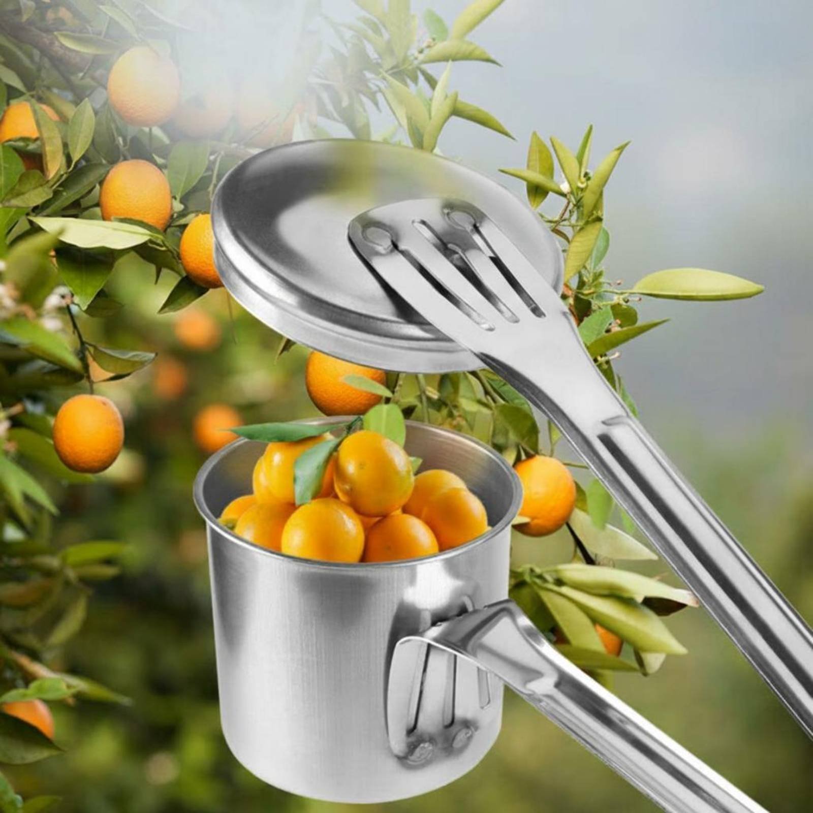 Cup Fruit Picker Stainless Ste - Gardening Tools Uses avis et prix