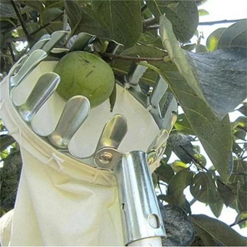 Practical Garden Fruit Picker  - Gardening Tools Scissors avis et prix