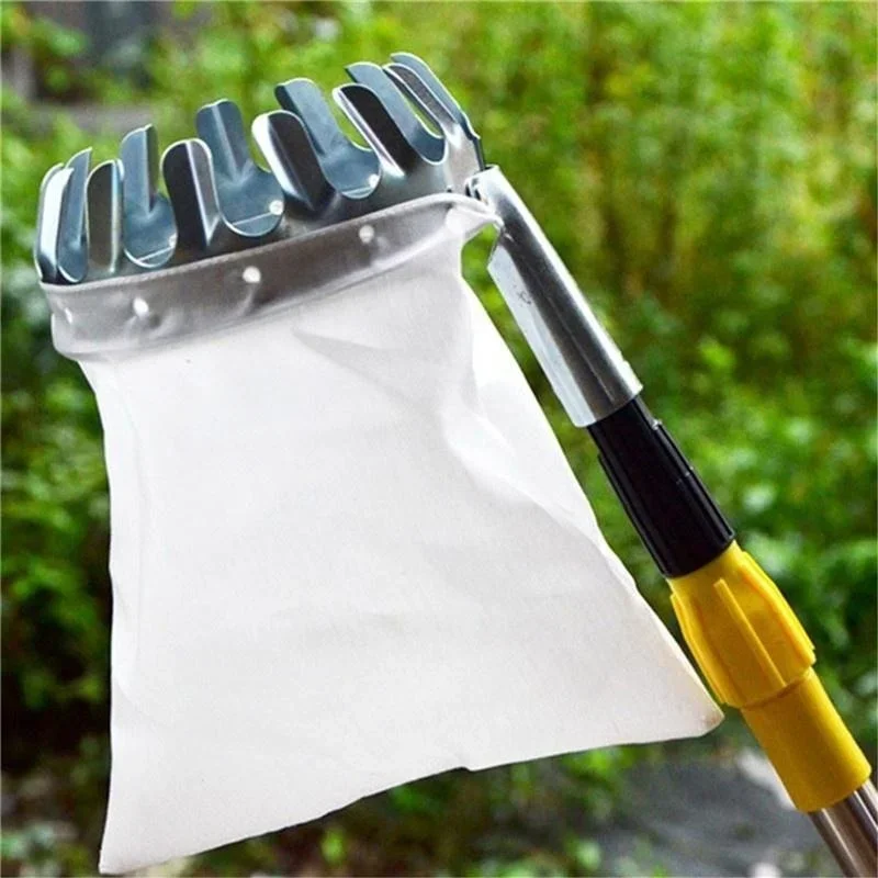 Practical Garden Fruit Picker  - Gardening Tools Scissors avis et prix