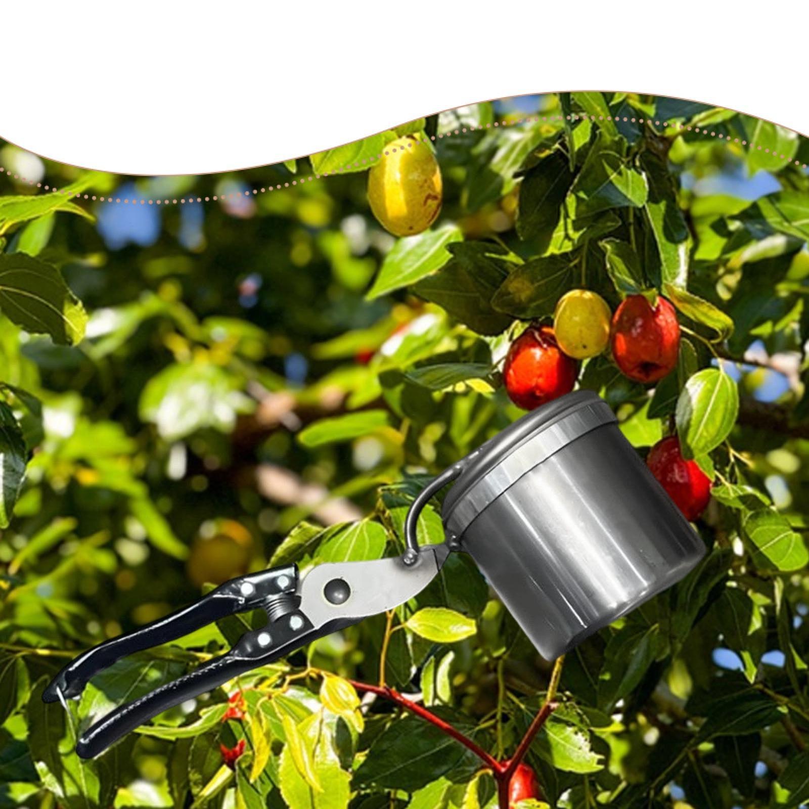 Fruit Picker, Easy to Use Port - Gardening Tools Uses avis et prix